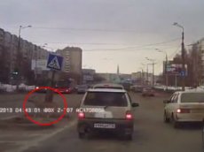 В Казани косуля бросилась под колеса автомобиля