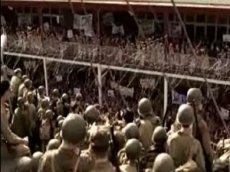 Стивен Спилберг снимает сериал о войне США и Японии в Тихом океане