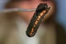 Солнце прожигает кусок стали за 5 секунд