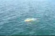 Создан "вертолет", способный неподвижно зависать на глубине шести тысяч метров