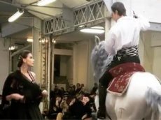 Лошадь выбежала на подиум во время показа мод в Париже