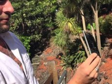 Краш-тест BlackBerry Passport: газон, скала, молоток