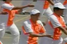 Самый массовый урок по китайскому боевому искусству Тай Чи собрал 20 000 китайцев