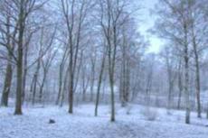 Год за 40 секунд