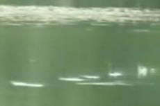 Американец запустил «лягушку» и вошел в Книгу Гиннесса