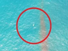 Дрон заснял маневры НЛО в Чили