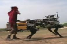 Коррида с роботом