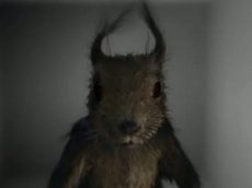 Россиян вновь пугают "Адской белкой"