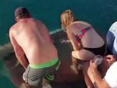 Акула едва не утащила туристку под воду