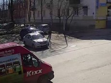 Дерево рухнуло на автомобили в центре Петрозаводска