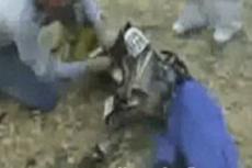 Байкер погиб на соревнованиях по драгресингу