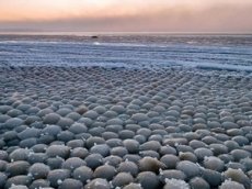 Финский залив покрылся загадочными ледяными шарами