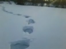 Школьники сняли на видео снежного человека