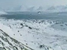 Пингвины всё-таки летают!