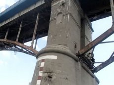 Житель Самары снял на камеру двухметровых пауков