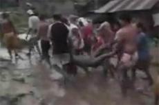 Число жертв тайфуна на Филиппинах достигло 229 человек