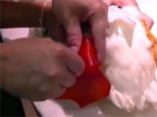 Утке напечатали протез на 3D-принтере