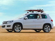 Volkswagen отобрал собак 36 пород для рекламного ролика