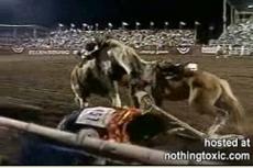 Во время родео две лошади с наездниками столкнулись лоб в лоб