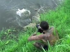 Фотограф в погоне за удачным кадром едва не угодил в пасть крокодилу