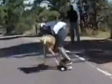 Олень выбросил с трассы скейтера