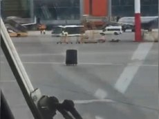Чемодан совершил побег в аэропорту Шереметьево