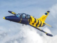 Экстремальный полет самолета Л-39 на сняли на видео