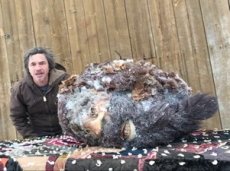 Уфолог показал отрубленную голову «снежного человека»