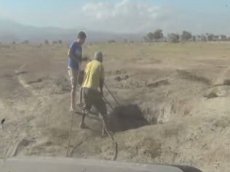 Спасение слоненка-пигмея