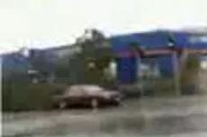 Рухнувшее дерево чудом не раздавило автомобиль с людьми