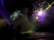 Moment Factory. Зооинсталяция в Гранби