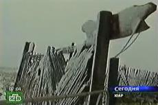 Африку занесло снегом