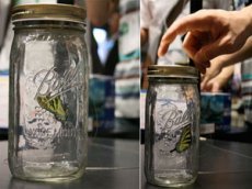 Электрическая бабочка