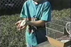 Трагедия семейного масштаба