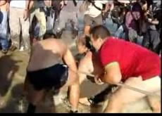 В Испании поймана акула — гроза туристов