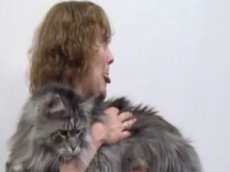 Самый длинный кот в мире