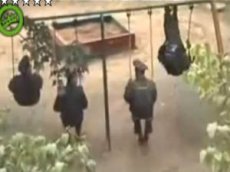 TOP-10 самых известных роликов, снятых на улицах России