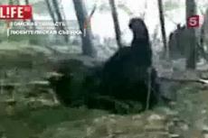 Зверское видео: через несколько секунд медведя хладнокровно убьют