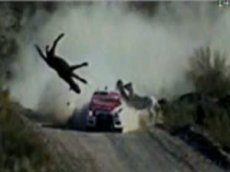 На Аргентинских ралли лошадь попала под машину