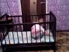 Самый дерзкий побег