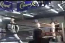 Рефери подрался с боксером прямо на ринге