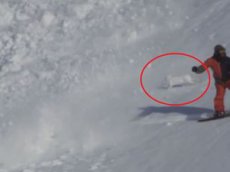 Зайцу-счастливчику удалось вырваться из снежной лавины
