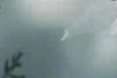 В Китае обнаружено собственное «лох-несское» чудовище