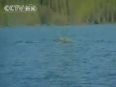 В озере Канас туристы опять увидели «дракона»