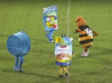 Танец шмеля и майонеза на футбольном матче