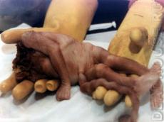 Половина американцев категорически против легализации абортов