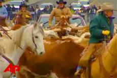 Американский автомпром не спасают даже «бараны»