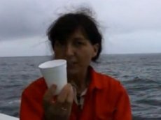 Ученые показали, что будет с пластиковым стаканчиком на глубине 2300 метров