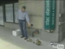 Как банкир утят спасал