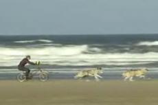 TOP-10 новых мировых рекордов Книги Гиннеса